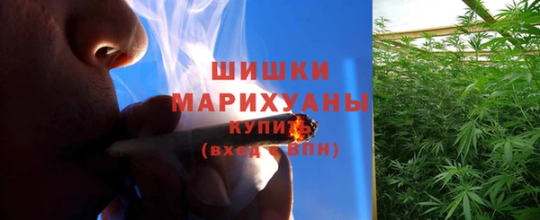 тгк Медвежьегорск