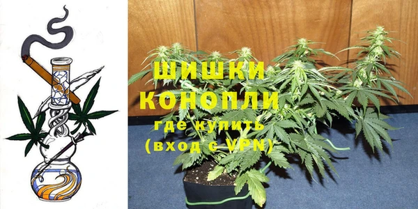 амф Магас