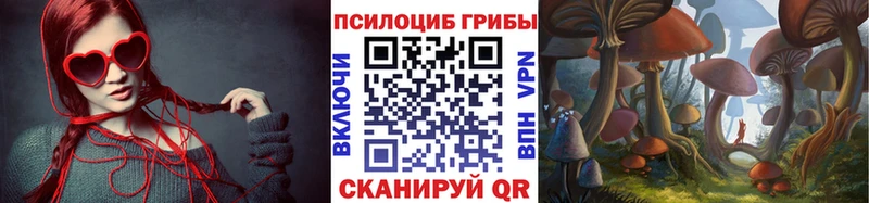 Псилоцибиновые грибы ЛСД  Тосно 