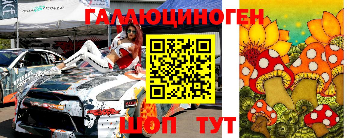 Галлюциногенные грибы Cubensis  Тосно  Галлюциногенные грибы Cubensis 