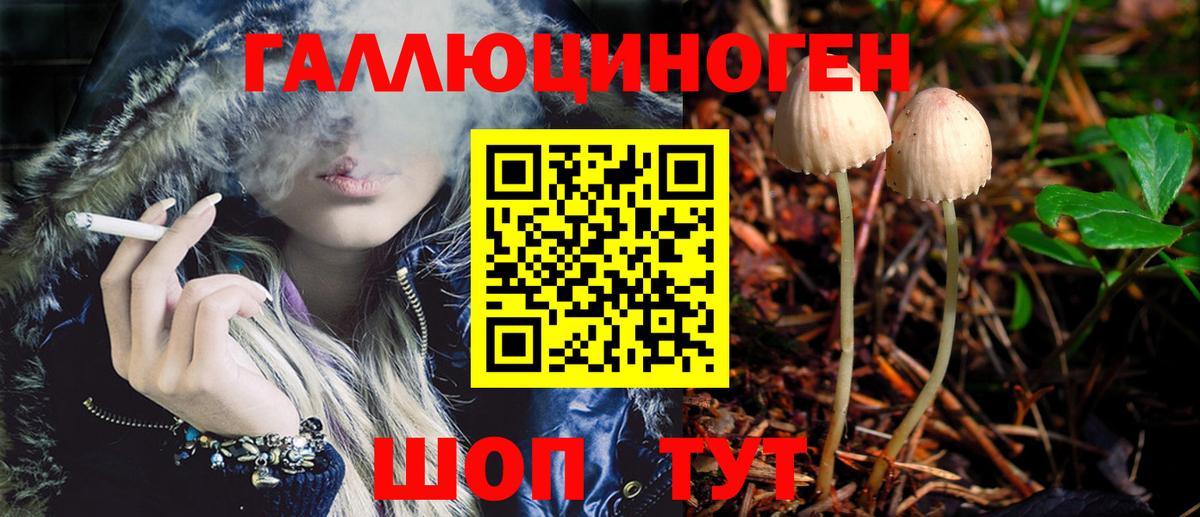 Тосно  Псилоцибиновые грибы GOLDEN TEACHER  Вход с VPN 