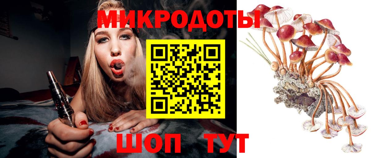 Псилоцибиновые грибы MAGIC MUSHROOMS Тосно
