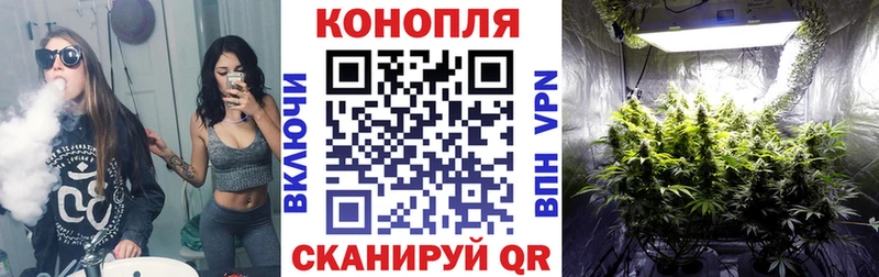 Бошки марихуана Bruce Banner  сколько стоит  ссылка на мегу ССЫЛКА  Тосно 